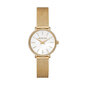 Moteriškas laikrodis Michael Kors MK4619 цена и информация | Moteriški laikrodžiai | pigu.lt