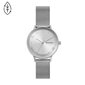 Moteriškas laikrodis Skagen SKW2874 kaina ir informacija | Moteriški laikrodžiai | pigu.lt