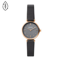 Moteriškas laikrodis Skagen SKW2995 kaina ir informacija | Moteriški laikrodžiai | pigu.lt