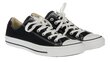 Sportiniai batai Converse chuck taylor all star m9166c kaina ir informacija | Kedai vyrams | pigu.lt