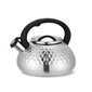 Virdulys Maestro Kettle, 3 L kaina ir informacija | Kavinukai, virduliai | pigu.lt