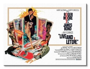 Джеймс Бонд (Живи и дай умереть) - Картина на холсте 40x30 cm цена и информация | Репродукции, картины | pigu.lt