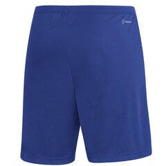 Мужские шорты Adidas Entrada 22 M HG6294, синие цена и информация | Мужские шорты | pigu.lt