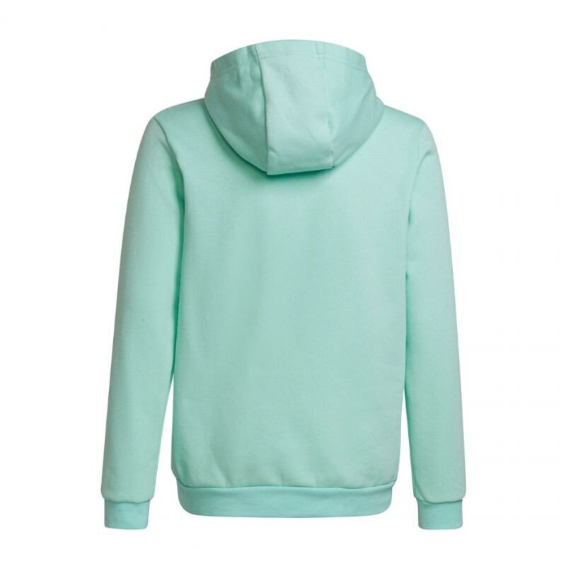 Džemperis vaikams Adidas, žalias kaina ir informacija | Megztiniai, bluzonai, švarkai berniukams | pigu.lt