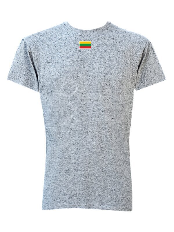 Marškinėliai pilki su Vyčiu ant nugaros kaina ir informacija | Lietuviška sirgalių atributika | pigu.lt