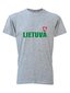 Marškinėliai pilki su Vyčiu ant nugaros kaina ir informacija | Lietuviška sirgalių atributika | pigu.lt