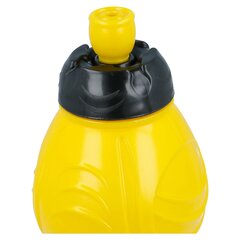 Batman, 400 ml kaina ir informacija | Žaidėjų atributika | pigu.lt