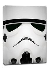 Tapyba ant drobės Susipažinkite! Žvaigždžių karai Stormtrooper, 50x70 cm kaina ir informacija | Reprodukcijos, paveikslai | pigu.lt