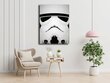 Tapyba ant drobės Susipažinkite! Žvaigždžių karai Stormtrooper, 50x70 cm kaina ir informacija | Reprodukcijos, paveikslai | pigu.lt