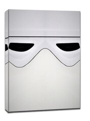 Tapyba ant drobės Susipažinkite! Žvaigždžių karai Snow Trooper, 20x30 cm kaina ir informacija | Reprodukcijos, paveikslai | pigu.lt