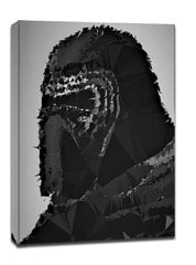 ПОЛИАМОРЫ - Кайло Рен, Звездные войны, Звездные войны - картина на холсте 40x50 cm цена и информация | Репродукции, картины | pigu.lt