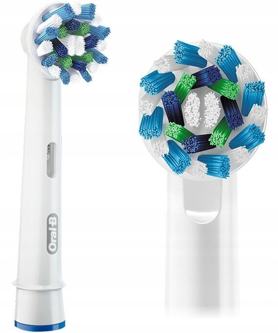 Oral-B Vitality 100 Cross Action kaina ir informacija | Elektriniai dantų šepetėliai | pigu.lt