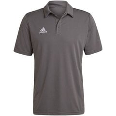 Спортивная футболка мужская Adidas Entrada 22 Polo, серая цена и информация | Мужские термобрюки, темно-синие, SMA61007 | pigu.lt