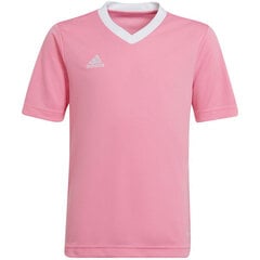Детская футболка Adidas Entrada 22 Джерси HC5055, розовый цена и информация | Футбольная форма и другие товары | pigu.lt