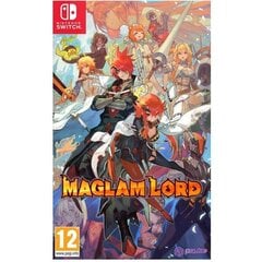 Maglam Lord Switch игра цена и информация | Компьютерные игры | pigu.lt