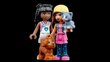 41699 LEGO® Friends Gyvūnų prieglaudos kavinė kaina ir informacija | Konstruktoriai ir kaladėlės | pigu.lt