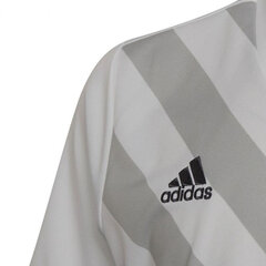 Детская футболка Adidas Entrada 22 Graphic Jersey Jr HF0120, белая цена и информация | Рубашки для мальчиков | pigu.lt