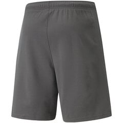 Puma teamRise Short M 704942 13 70494213 kaina ir informacija | Vyriški laikrodžiai | pigu.lt