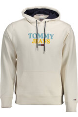 Džemperis vyrams Tommy Hilfiger DM0DM12941, baltas kaina ir informacija | Džemperiai vyrams | pigu.lt
