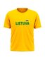Marškinėliai vaikams geltoni su Vyčiu ant nugaros kaina ir informacija | Lietuviška sirgalių atributika | pigu.lt