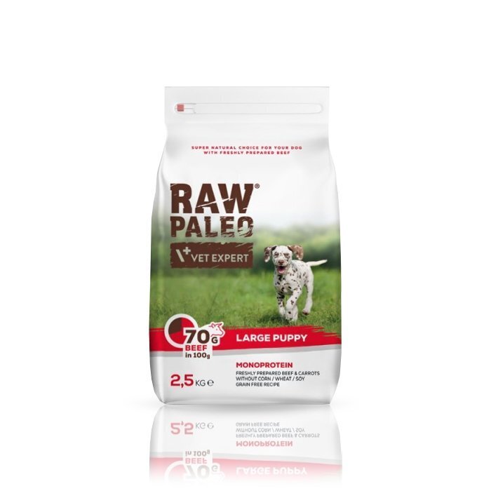 Raw Paleo sausas, begrūdis maistas didelių veislių šuniukams Puppy Large breed su jautiena, 2,5 kg kaina ir informacija | Sausas maistas šunims | pigu.lt