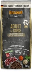 Belcando Adult GF Horse сухой корм для взрослых собак с кониной 12,5 кг цена и информация |  Сухой корм для собак | pigu.lt