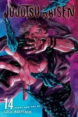 Jujutsu Kaisen, Vol. 14 цена и информация | Fantastinės, mistinės knygos | pigu.lt