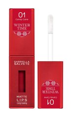 Губная помада Gabriella Salvete Winter Time Matte Lips 01 Candy Cane, 4,5 мл цена и информация | Помады, бальзамы, блеск для губ | pigu.lt