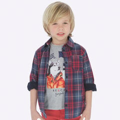 Клетчатая рубашка для мальчика цена и информация | Рубашки для мальчиков | pigu.lt