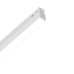 Настенный светильник Flash_AP1_Cromo цена и информация | Монтируемые светильники, светодиодные панели | pigu.lt