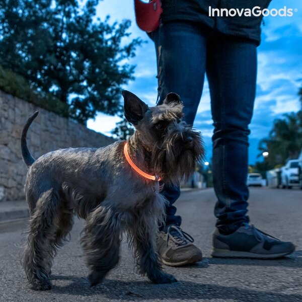 Antkaklis su LED augintiniams Petlux InnovaGoods kaina ir informacija | Antkakliai, petnešos šunims | pigu.lt
