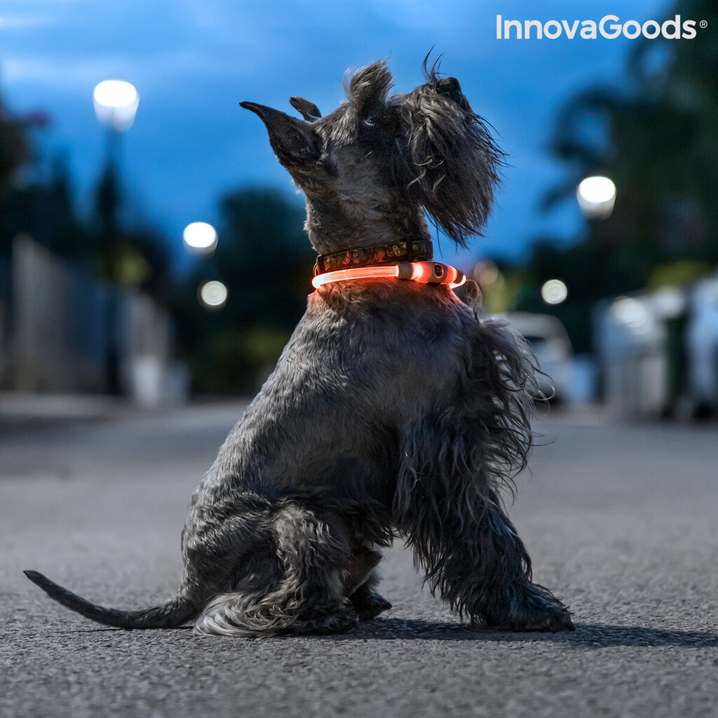 Antkaklis su LED augintiniams Petlux InnovaGoods kaina ir informacija | Antkakliai, petnešos šunims | pigu.lt