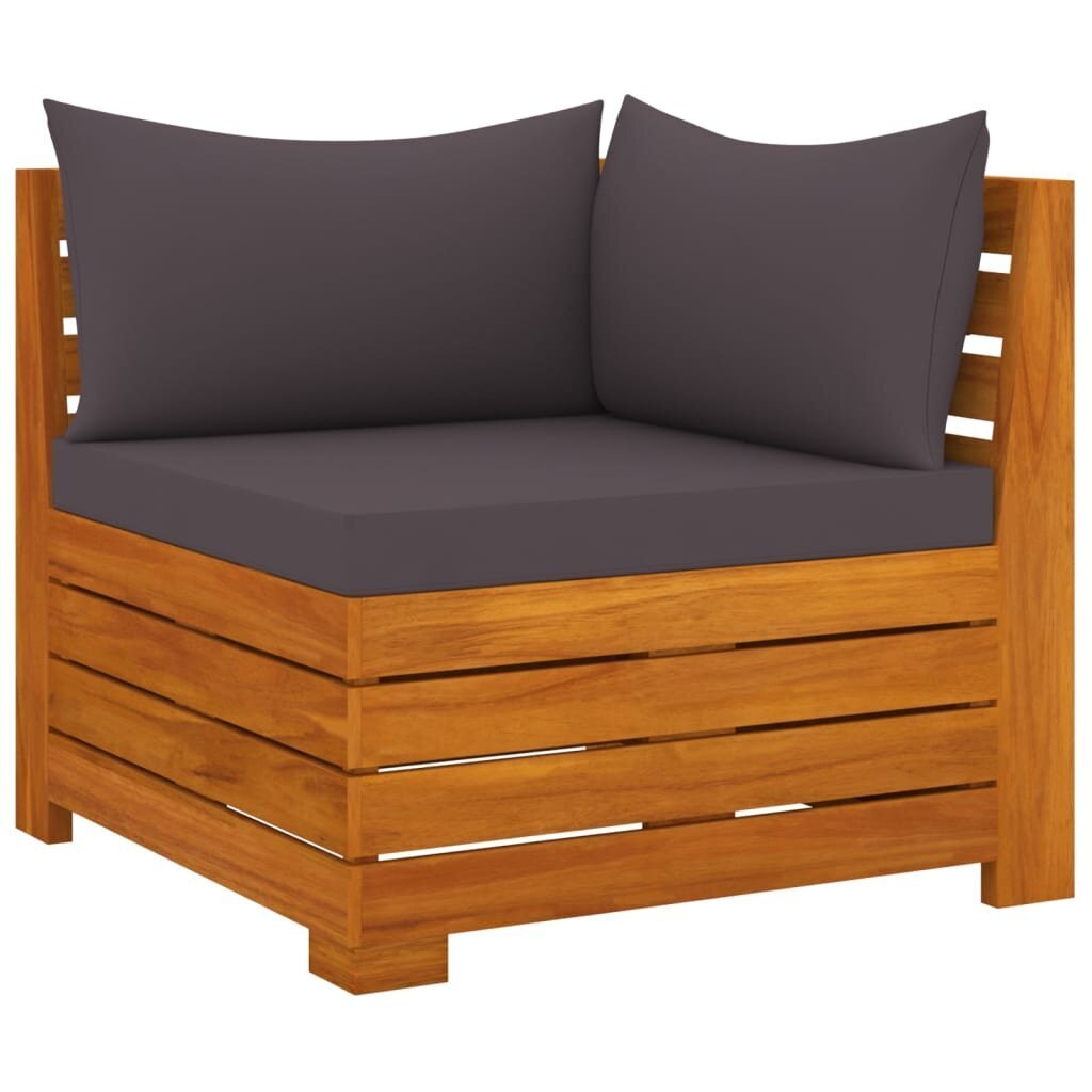 Dvivietė sodo sofa su pagalvėlėmis, ruda kaina ir informacija | Lauko kėdės, foteliai, pufai | pigu.lt