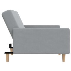 Dvivietė sofa-lova, pilka цена и информация | Диваны | pigu.lt