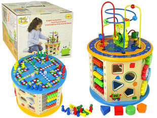 Edukacinis labirintas su stalo žaidimu kaina ir informacija | Lavinamieji žaislai | pigu.lt
