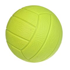 Krepšinio kamuolys Gerardo's Toys, įvairių spalvų kaina ir informacija | Lauko žaidimai | pigu.lt