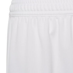 Шорты для мальчиков Adidas Entrada 22 Short Y Jr HG6292, белые цена и информация | Шорты для мальчиков Gulliver, серые милитари | pigu.lt