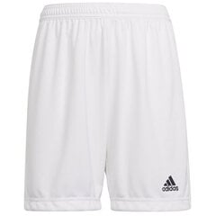 Šortai berniukams Adidas Entrada 22 Short Y Jr HG6292, balti kaina ir informacija | Šortai berniukams | pigu.lt