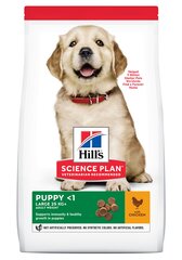 Hill's Science Plan Puppy Large Breed ėdalas šuniukams su vištiena, 14,5 kg kaina ir informacija | Sausas maistas šunims | pigu.lt