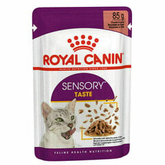 Консервы Royal Canin Sensory Taste Gravy для кошек, 12x85 г цена и информация | Консервы для кошек | pigu.lt