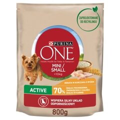 Purina One Mini Active Dog mažų veislių šunims su vištiena ir ryžiais, 800 g kaina ir informacija | Sausas maistas šunims | pigu.lt