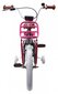 Vaikiškas dviratis Amigo Bloom, 16'', 24 cm, pilkas/rožinis kaina ir informacija | Dviračiai | pigu.lt