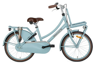 Велосипед для детей Popal Daily Dutch Basic, 20'', 32 см, синий цена и информация | Велосипеды | pigu.lt
