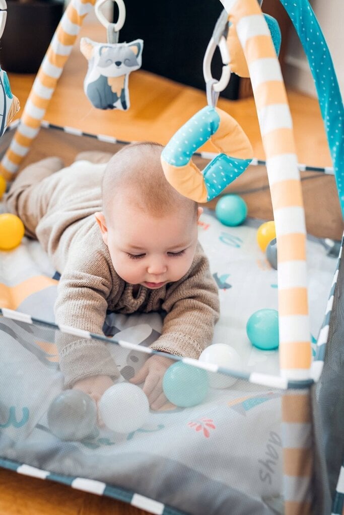 Lavinamasis kilimėlis MoMi Lammis kaina ir informacija | Žaislai kūdikiams | pigu.lt