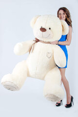 Плюшевый медведь  "I love you" 180 см Молочный цена и информация | Мягкие игрушки | pigu.lt