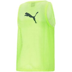 Мужская спортивная футболка Puma Bib M 65725142, зеленая цена и информация | Мужская спортивная одежда | pigu.lt