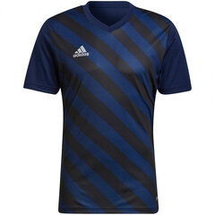 Мужская спортивная футболка Adidas Entrada 22 Graphic Jersey M HF0131, синяя цена и информация | Мужские термобрюки, темно-синие, SMA61007 | pigu.lt