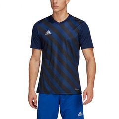 Мужская спортивная футболка Adidas Entrada 22 Graphic Jersey M HF0131, синяя цена и информация | Мужские термобрюки, темно-синие, SMA61007 | pigu.lt