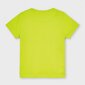 Marškinėliai berniukui trumpomis rankovėmis kaina ir informacija | Marškinėliai berniukams | pigu.lt