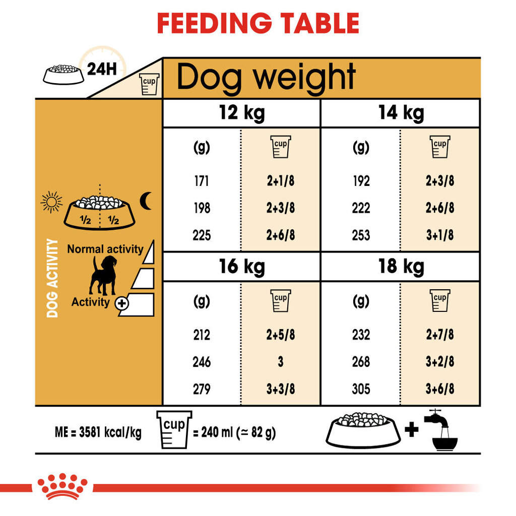 Royal Canin suaugusiems bigliams Beagle adult, 3 kg цена и информация | Sausas maistas šunims | pigu.lt